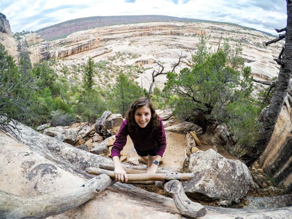 Ladder at Natural Bridges National Monument