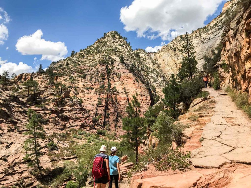 Zion Observation Point Hike