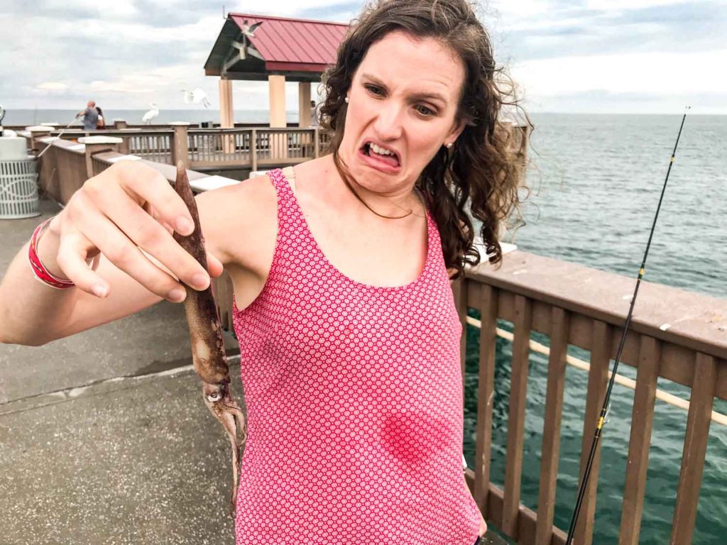 Squid bait at Pier 60 in Clearwater Beach