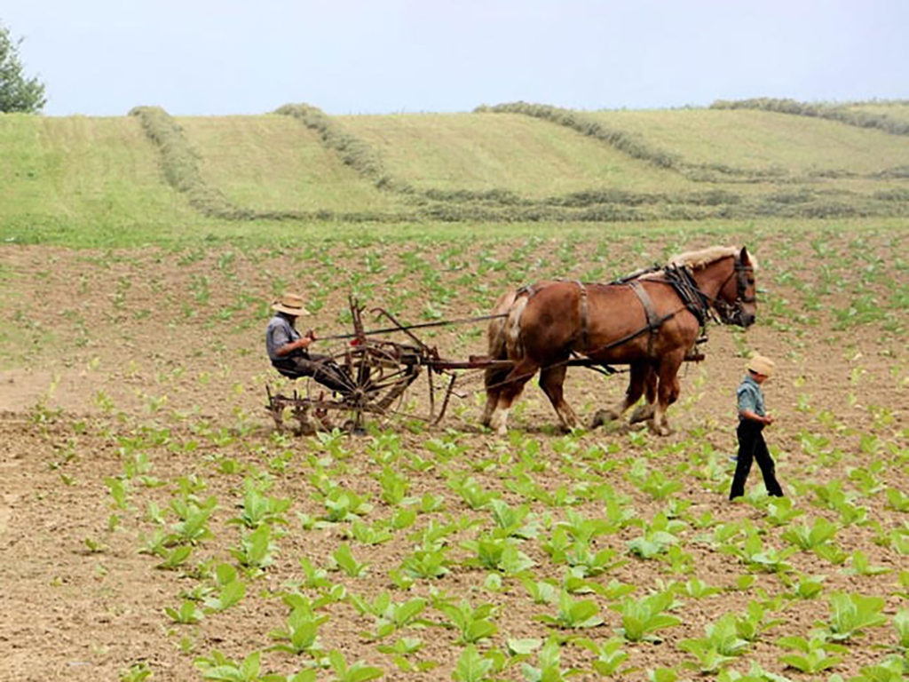 Lancaster County Amish Country