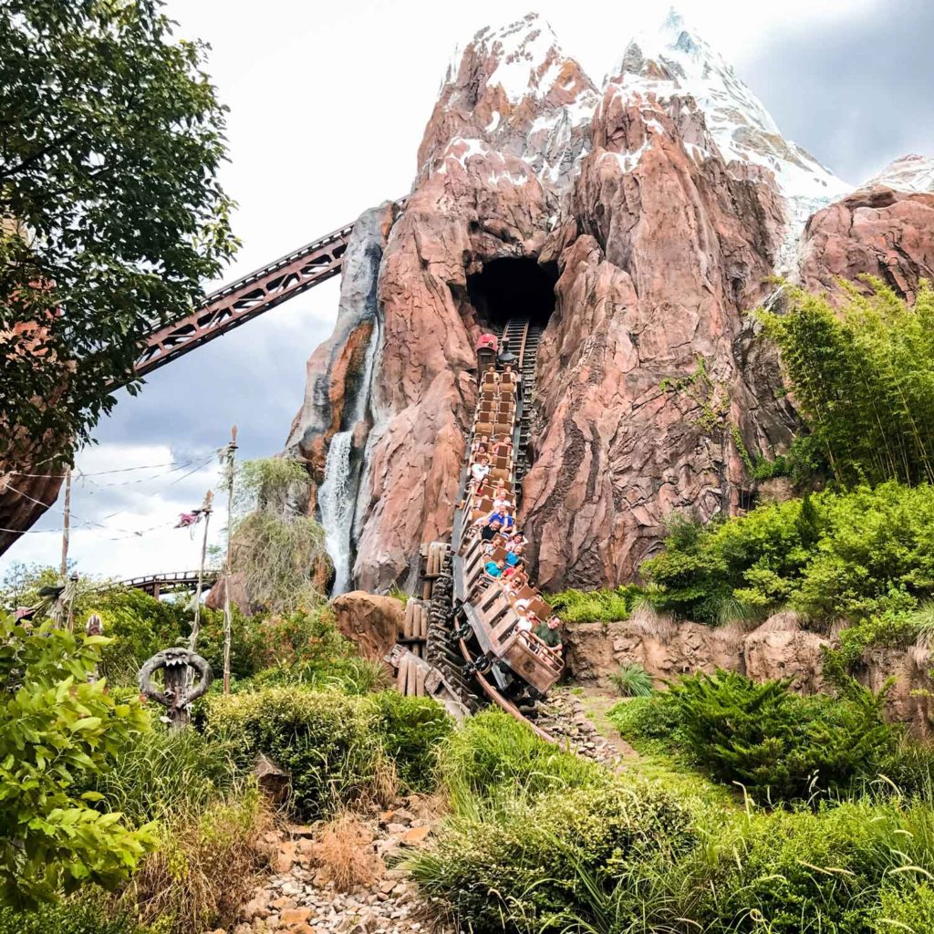 Expedition Everest at Animal Kingdom