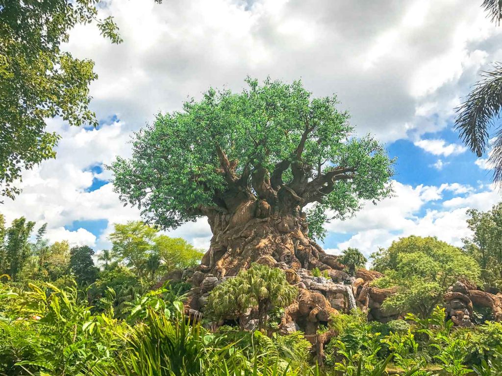 Tree of Life at the Animal Kingdom