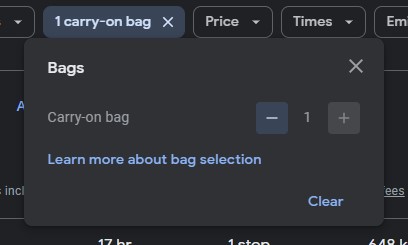 Google Flights bags filter
